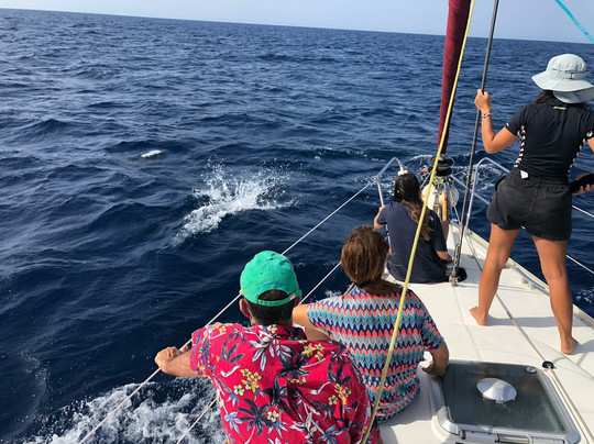 Flounder Yacht Sailing Tours-帕哈拉必去景点