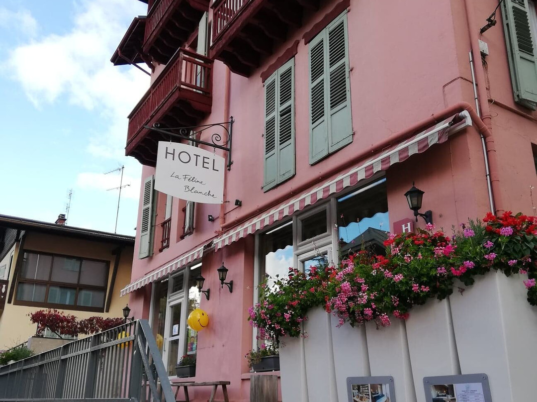 La Feline Blanche主图