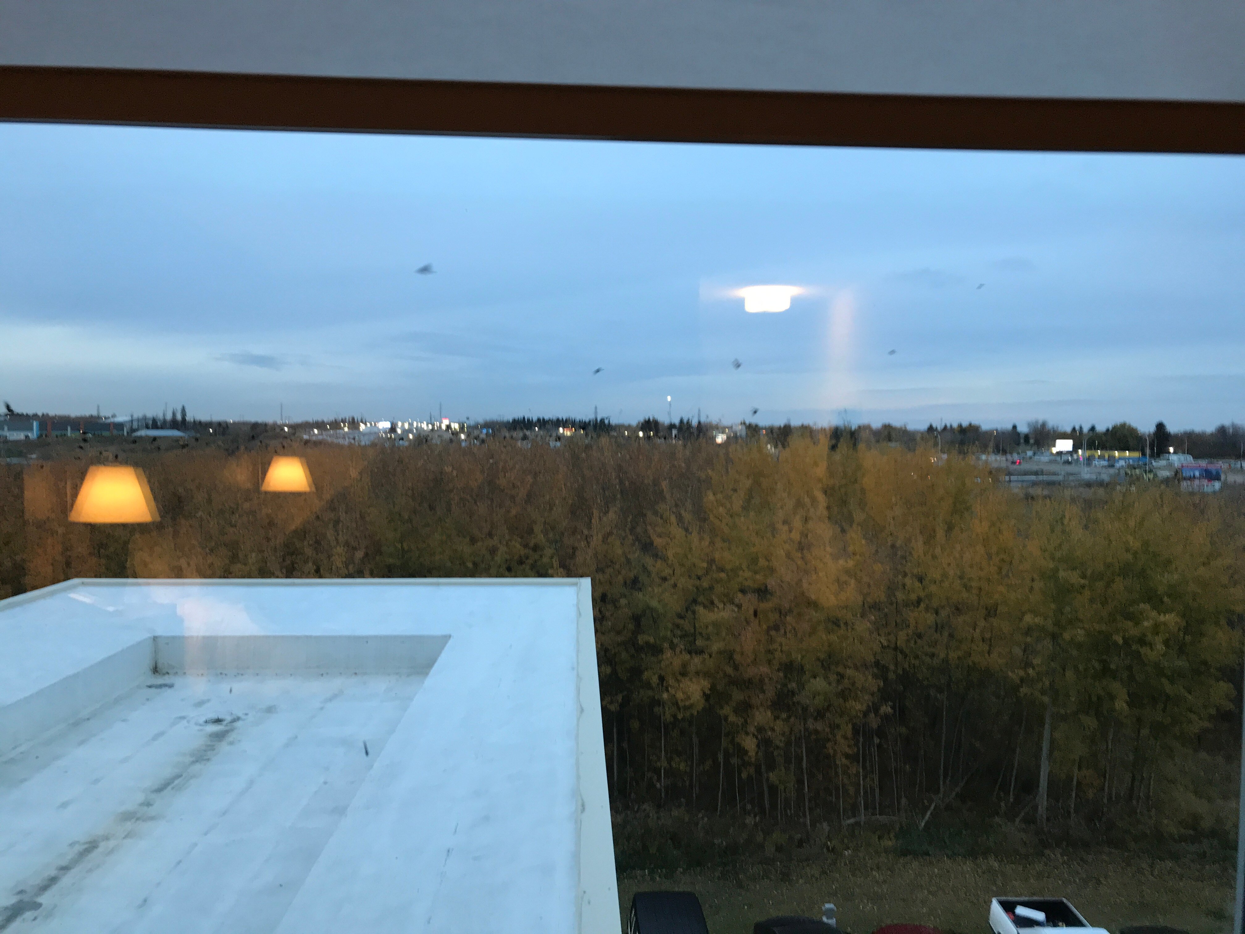 Hampton Inn & Suites by Hilton Edmonton St. Albert-酒店景观