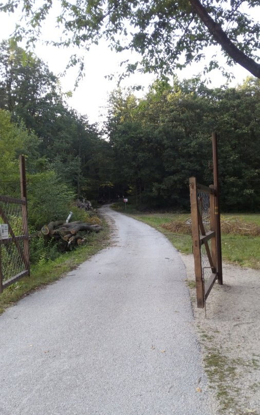 Topolcianky Bison Park-Topolcianky必去景点