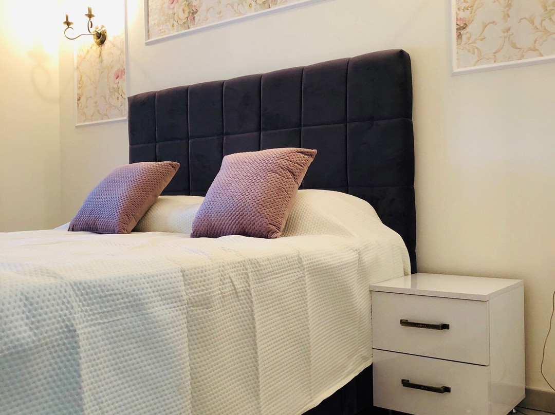 Zlatibor Hills Stars主图