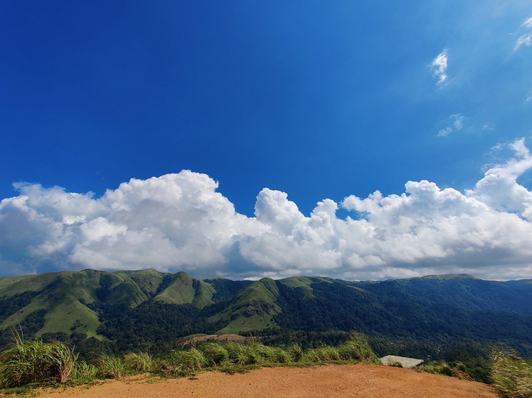 Periyar Cabs景点图片
