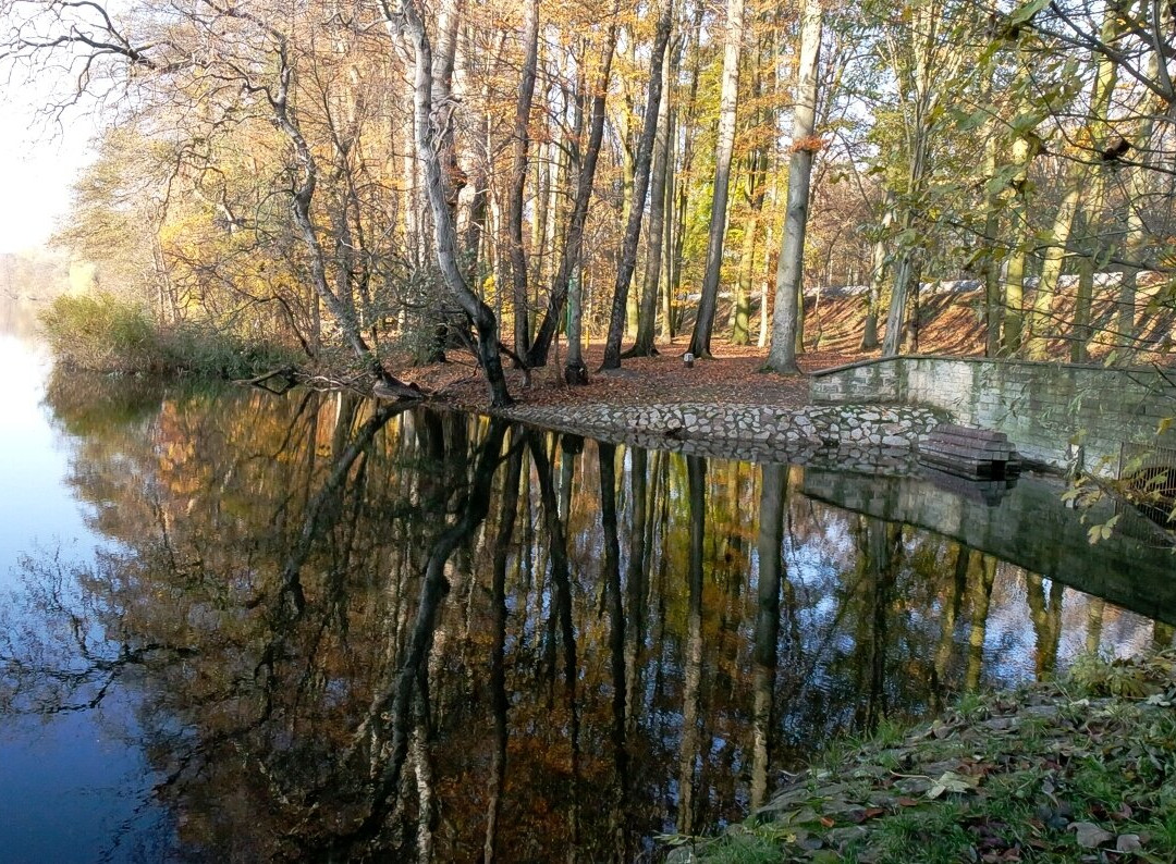 Jezioro Rusałka景点图片