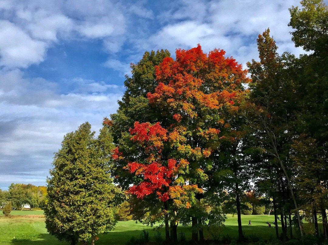 Club de Golf Saint-Anicet景点图片