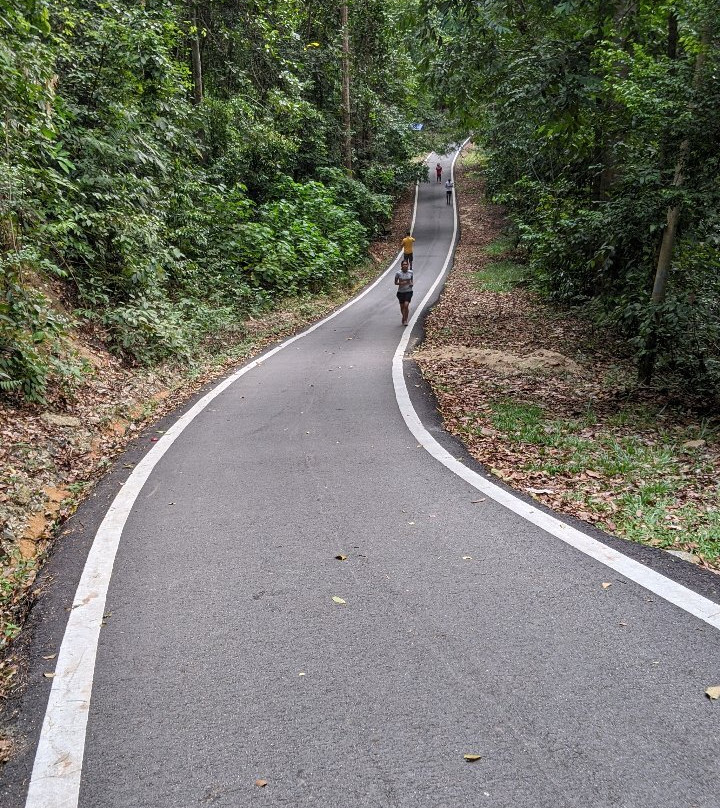 Bukit Pelindung Recreational Forest-关丹必去景点
