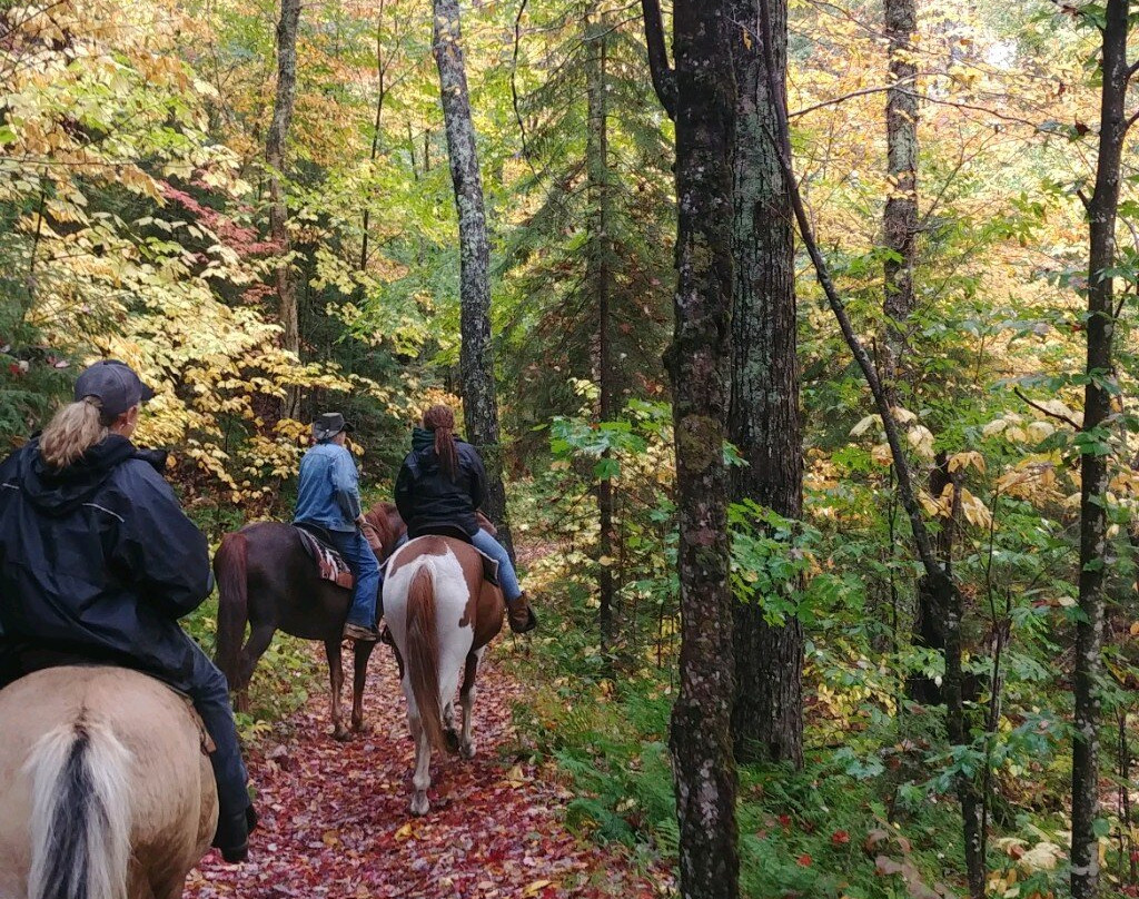 Adirondack Saddle Tours-Eagle Bay必去景点
