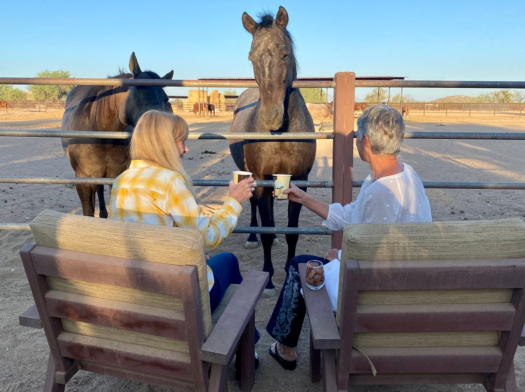 白马牧场酒店主图