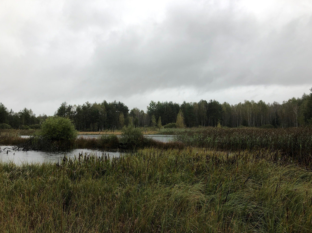 Marshland Nature Reserve Borkovicka景点图片