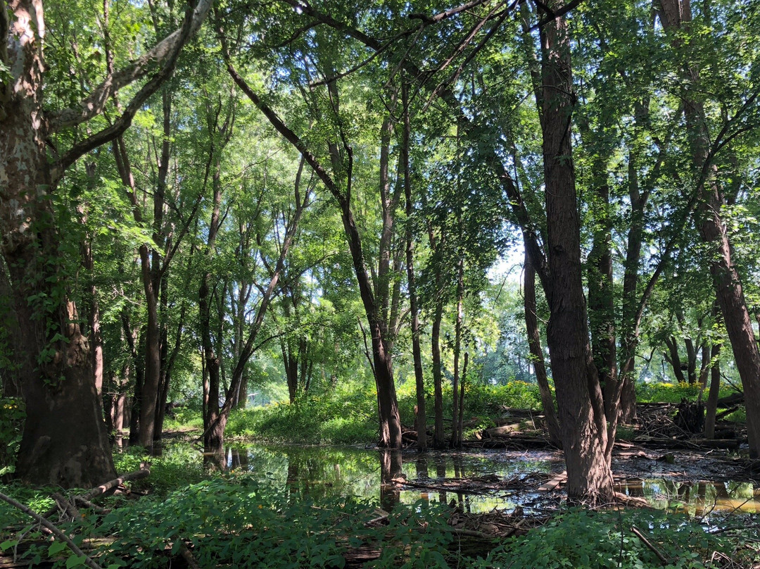 Prophetstown State Park-Battle Ground必去景点