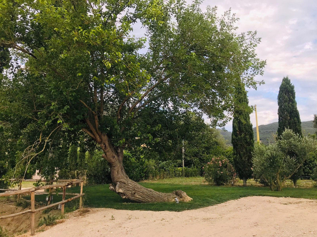 Tenuta Santa Caterina主图