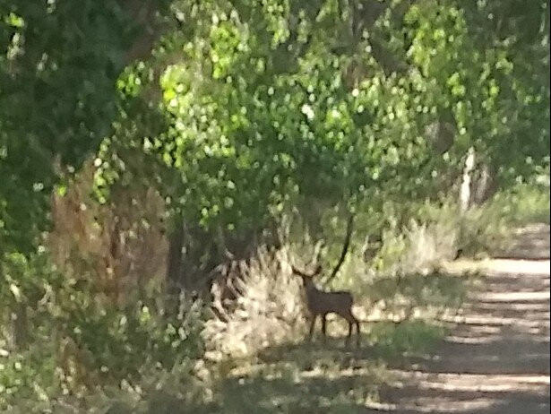 Lake Pueblo, Colorado State Park-普韦布洛必去景点