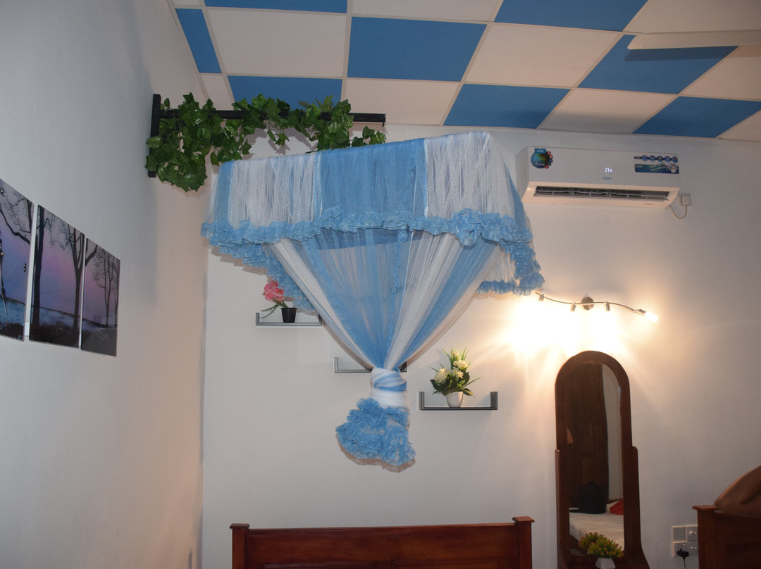 INTEC Kedella Guest主图