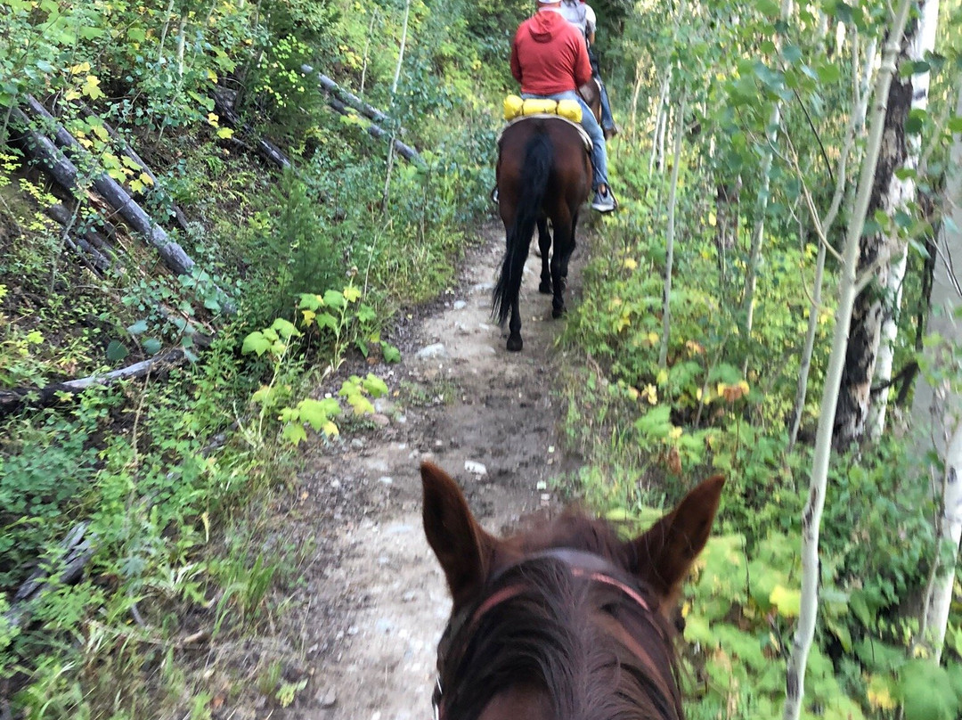 Beaver Creek Stables-比弗河必去景点