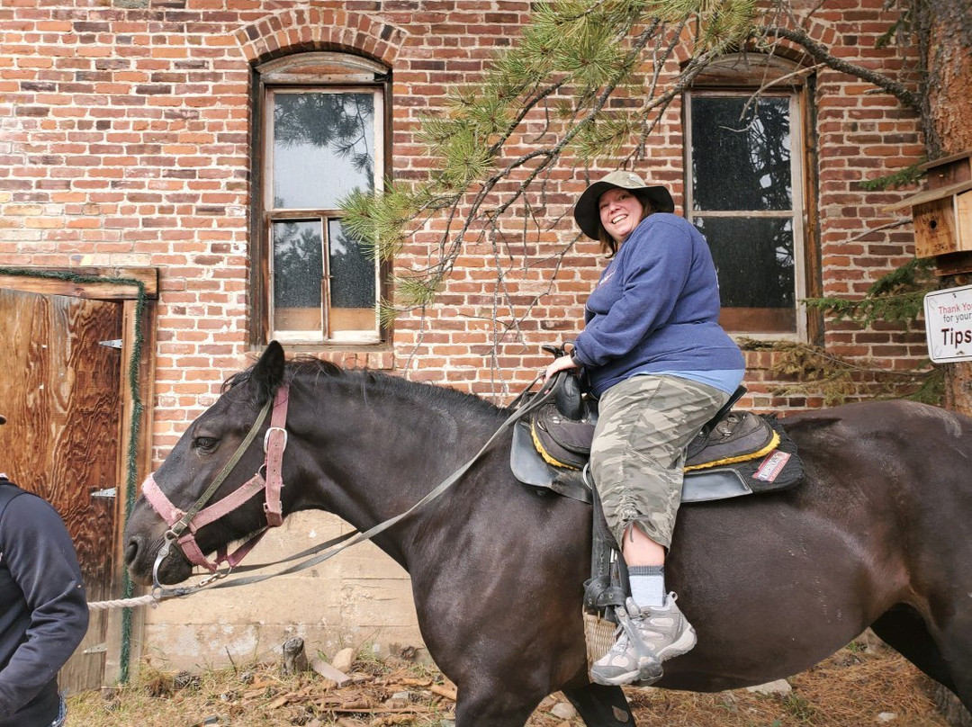 Andy's Trail Rides-Lead必去景点