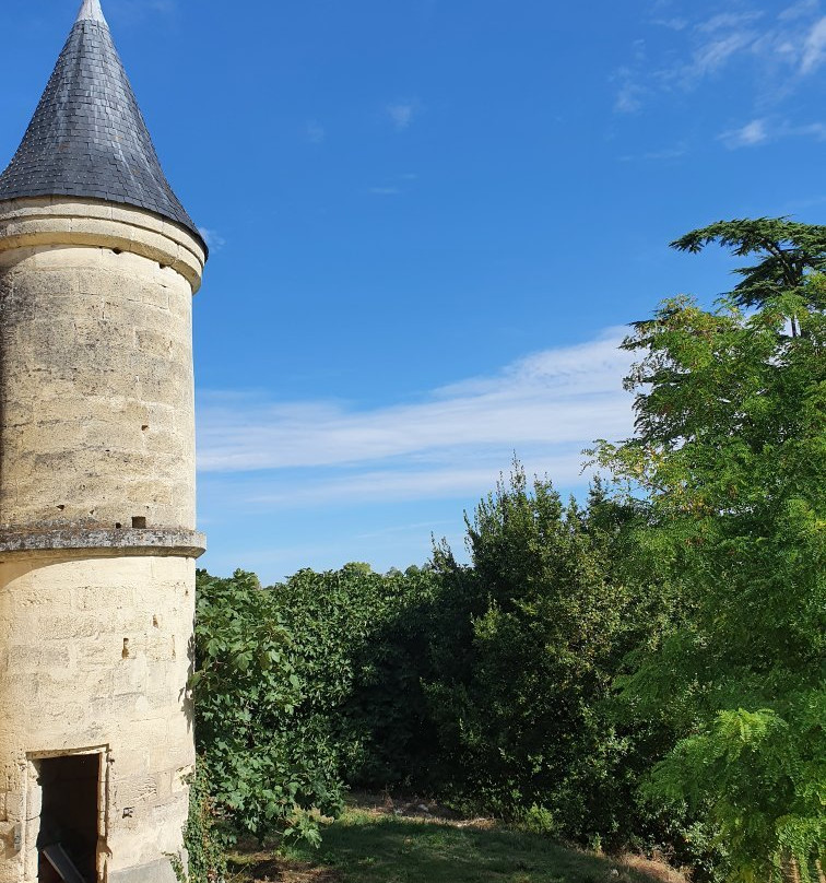 Château La Croizille景点图片