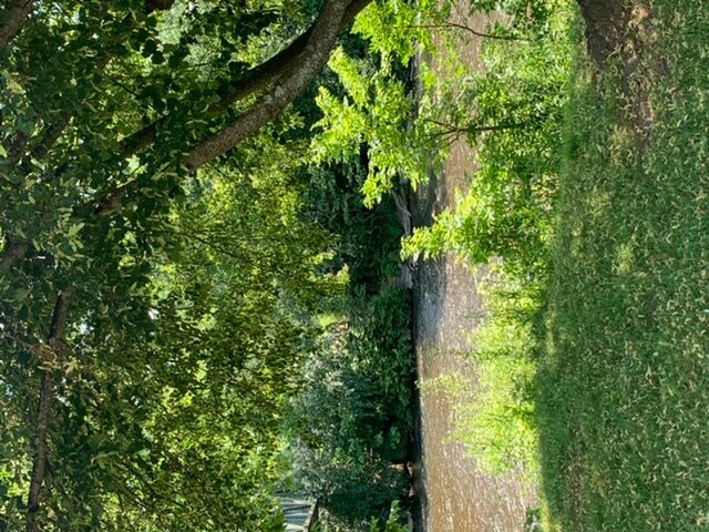 Ridgeview Park-韦恩斯伯勒必去景点