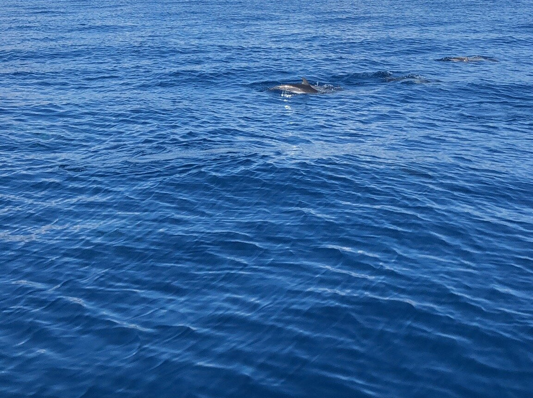 Jets'Cool-特乌尔须梅必去景点