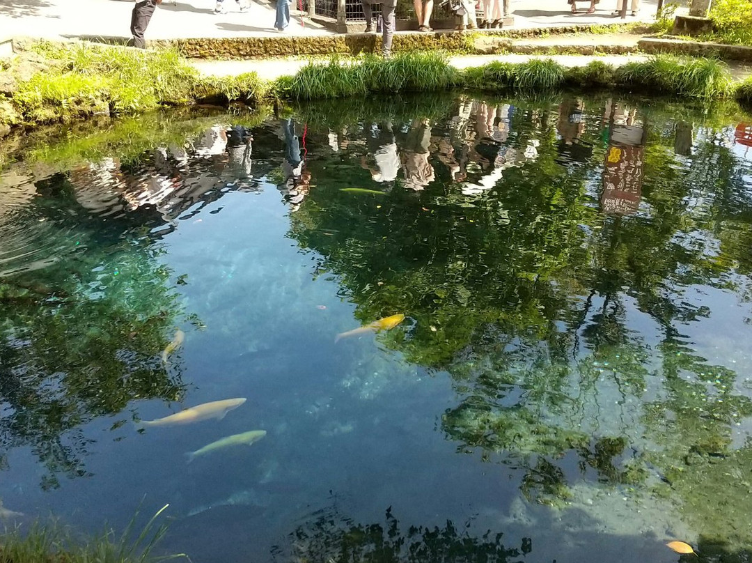 Waku Pond景点图片