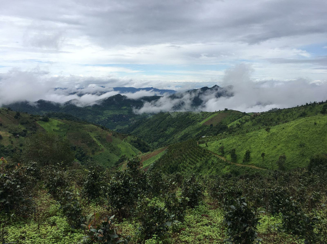 A1 Trekking Kalaw-格劳必去景点