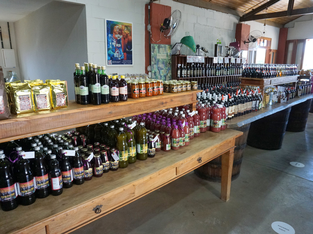 Adega Familia Ferragut-维涅杜必去景点