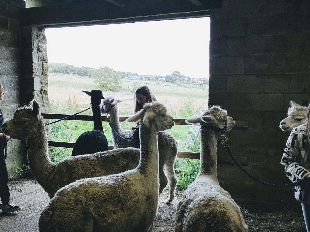 Apple Tree Farm Holidays