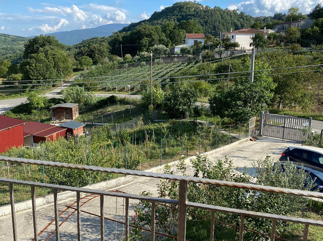 Alla Contrada degli Asinelli