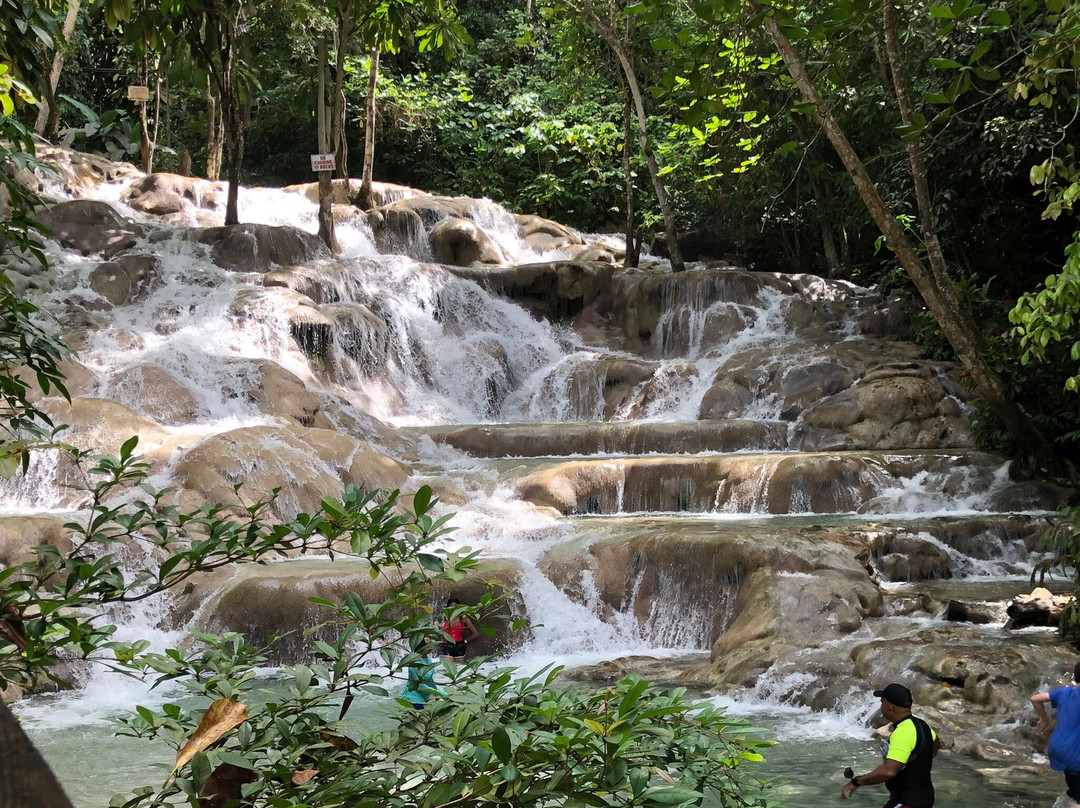 Grand Jamaica and Dunns River Falls Tour-法尔茅斯必去景点