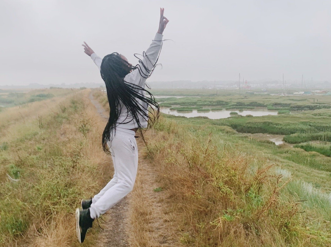 Tollesbury Wick Nature Reserve景点图片