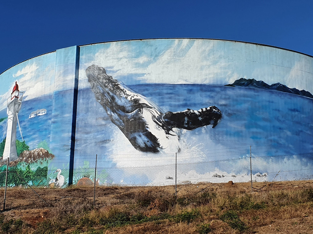 Watertank Murals-博恩必去景点