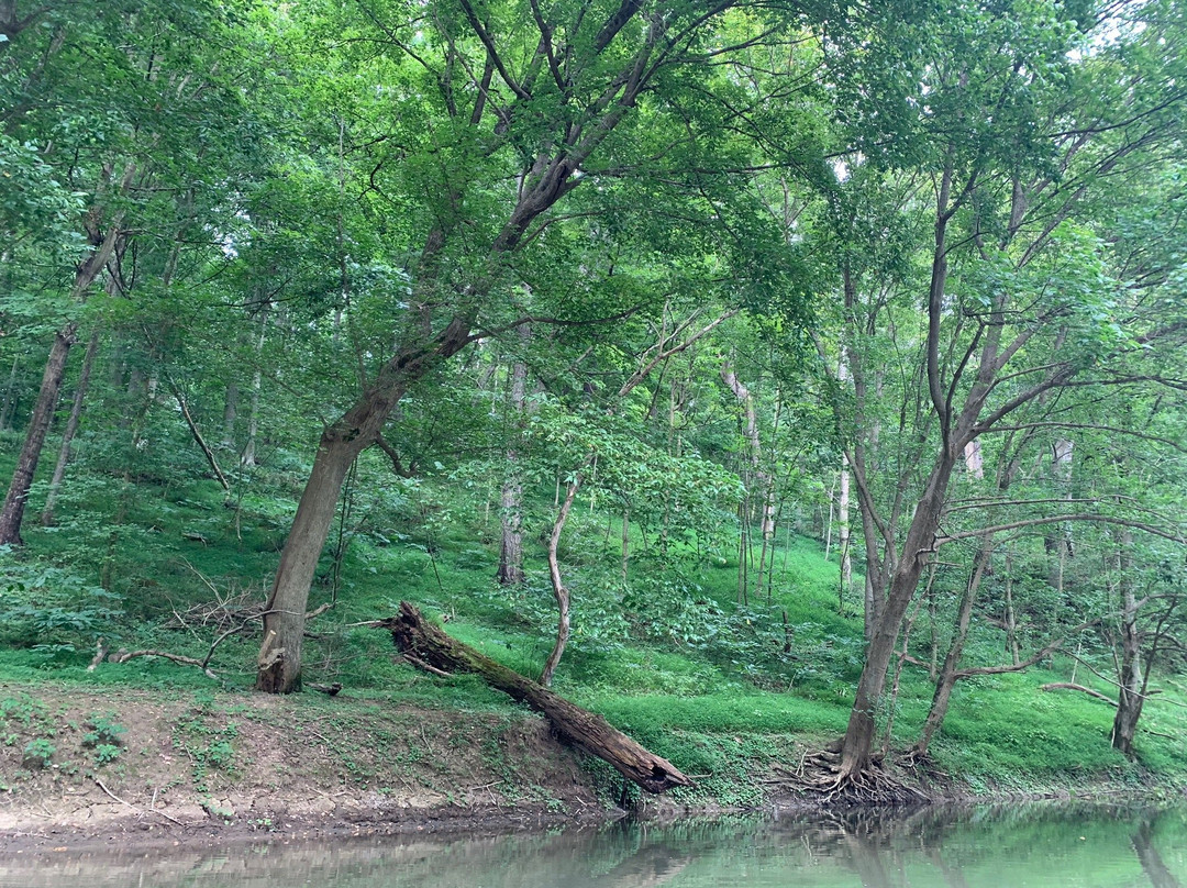 Antietam Creek景点图片