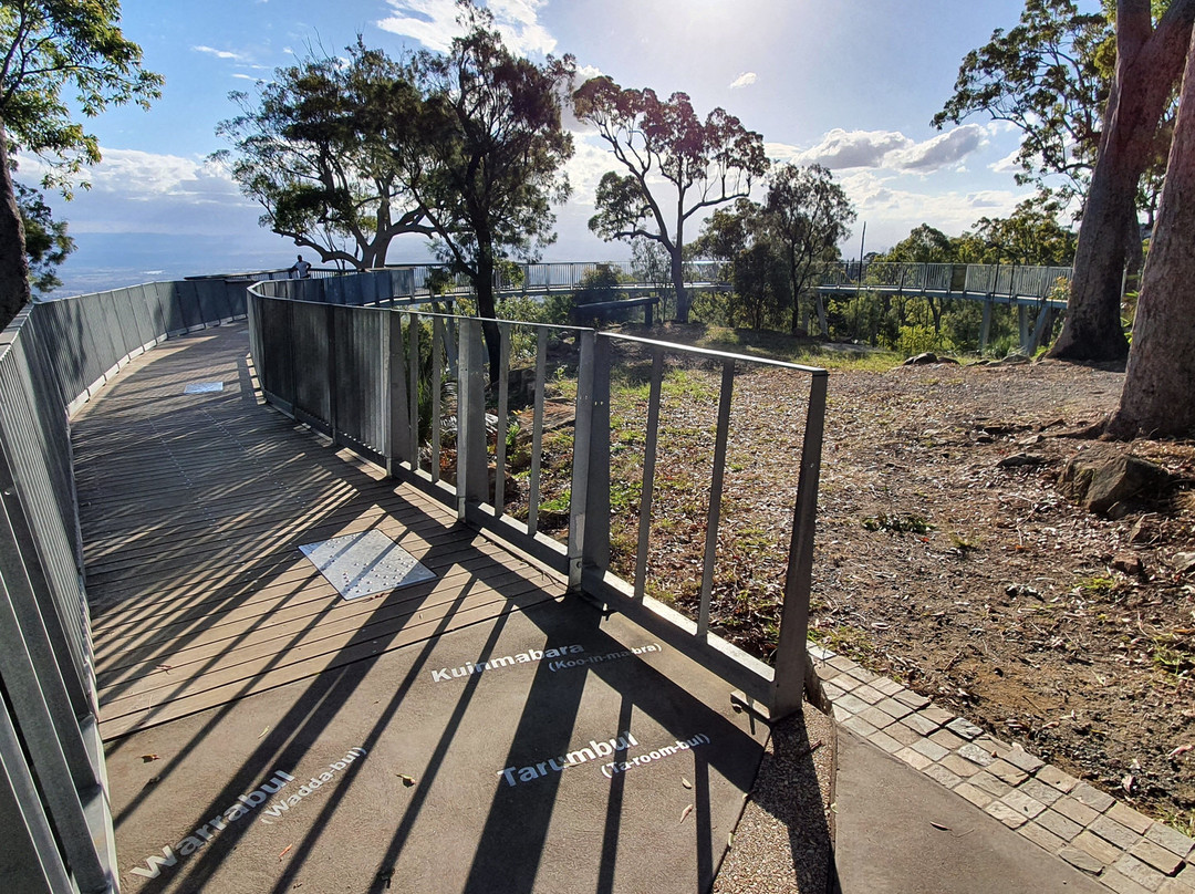 Fraser Park Lookout景点图片