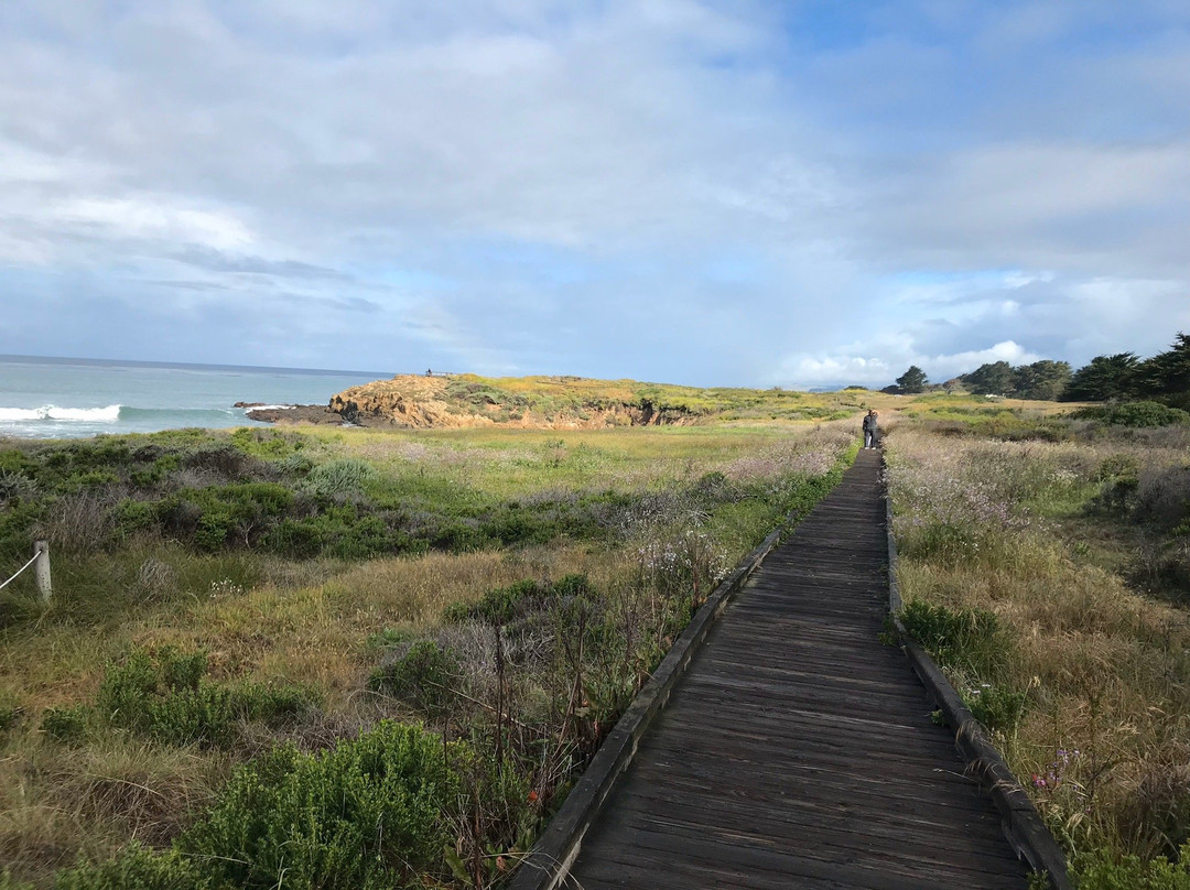 Moonstone Beach Drive景点图片