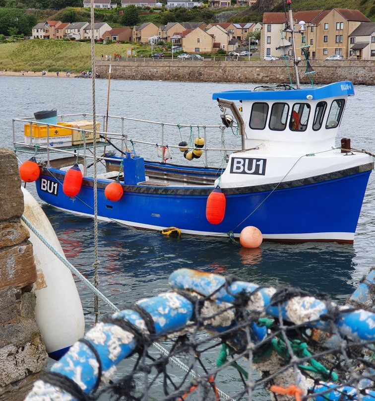 Kinghorn Harbour景点图片