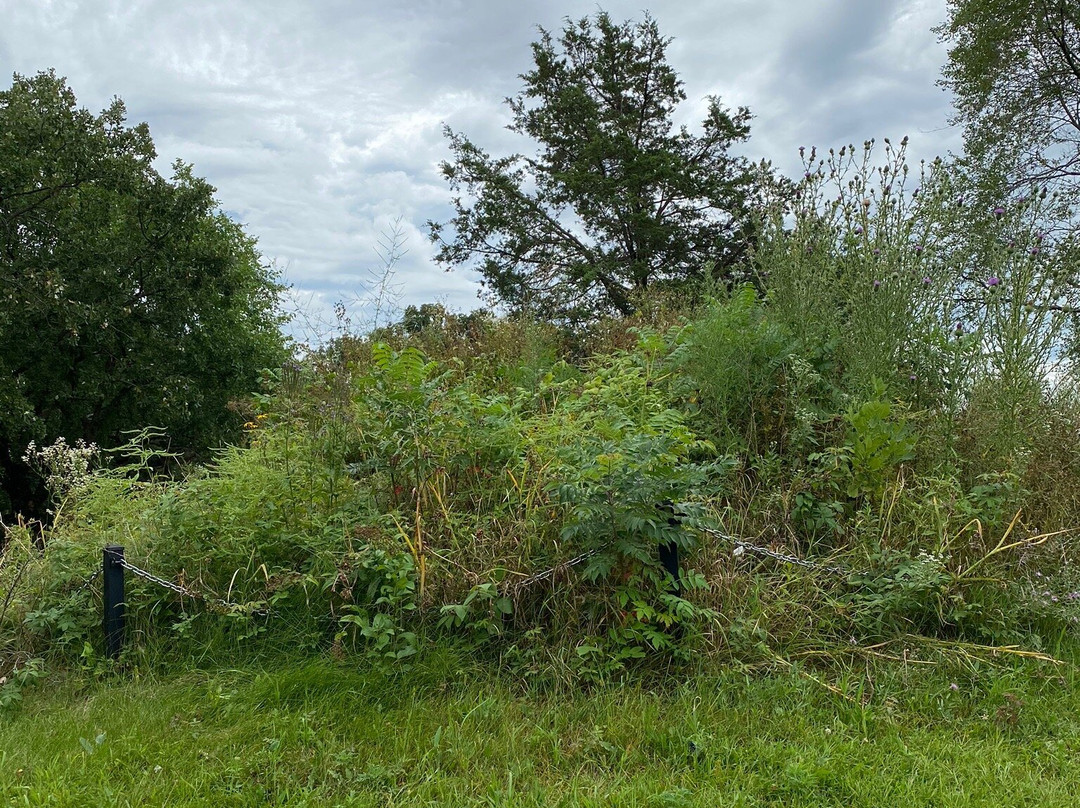 Birkmose Park-Hudson必去景点