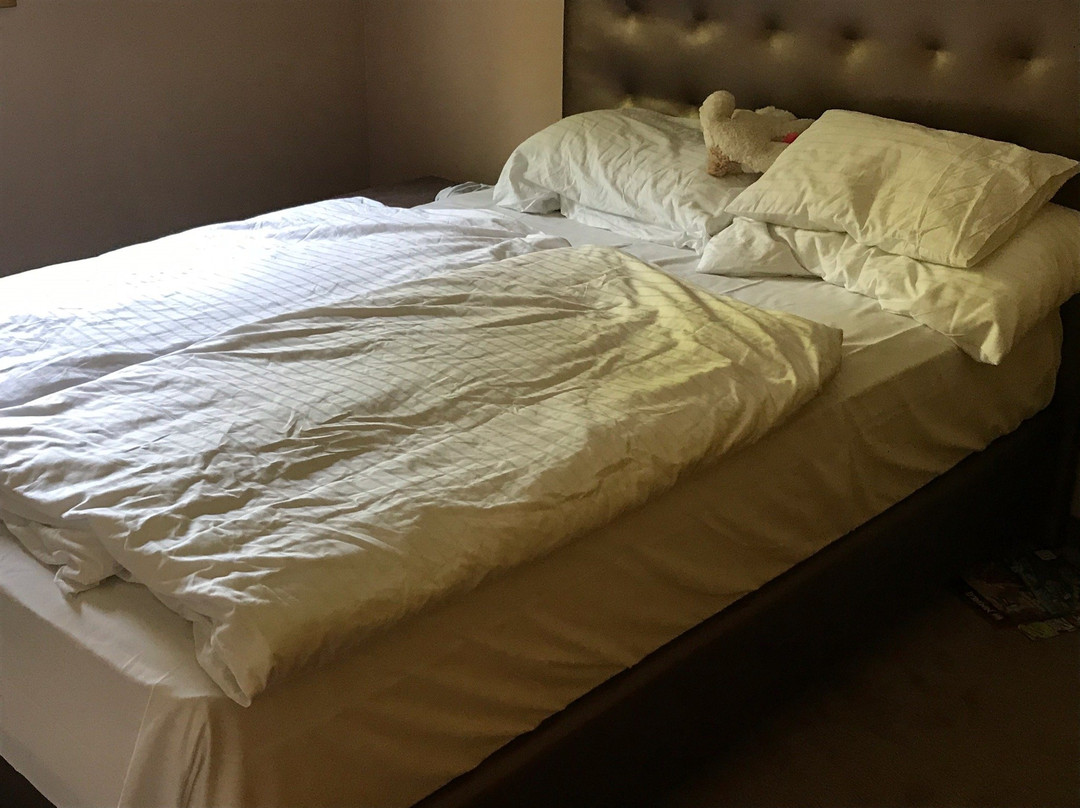 Maiers Hotel Schlafgut主图