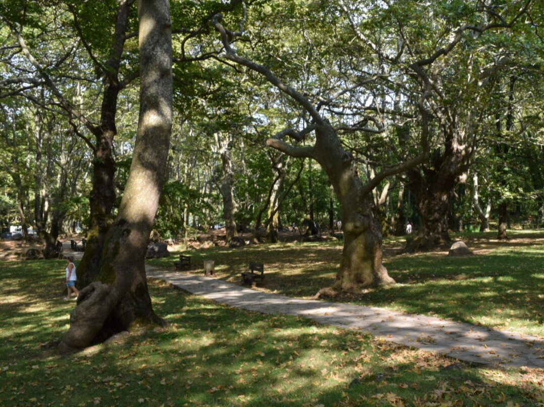 Agios Nikolaos Park-Naousa必去景点