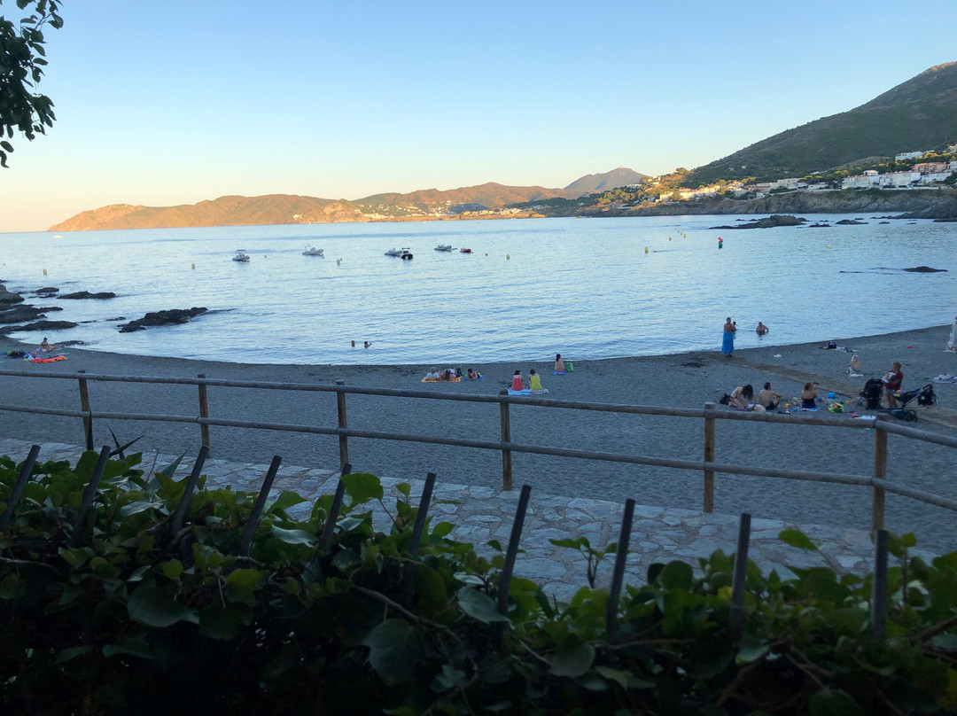 Playa La Farella景点图片