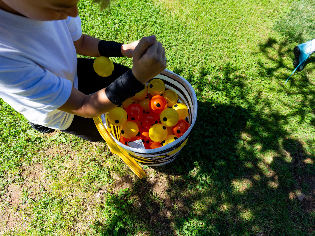 Bee Day with Passion Honey-Taxiarchis必去景点