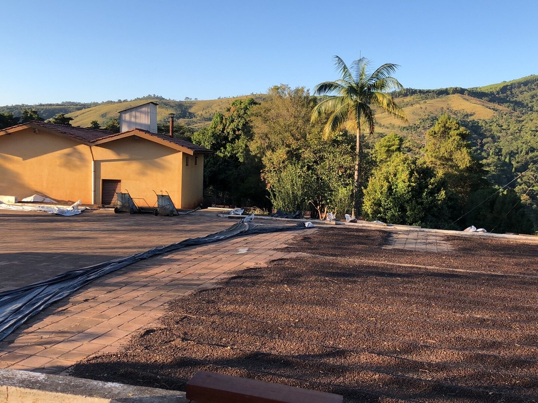 Fazenda Chapadão-塞拉内格拉必去景点