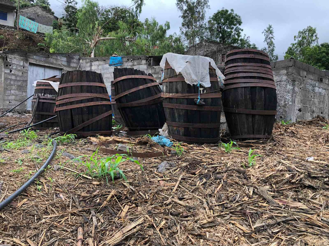 ELDS TOURS                            viaje mais leve, melhores preços, melhores férias-Assomada必去景点