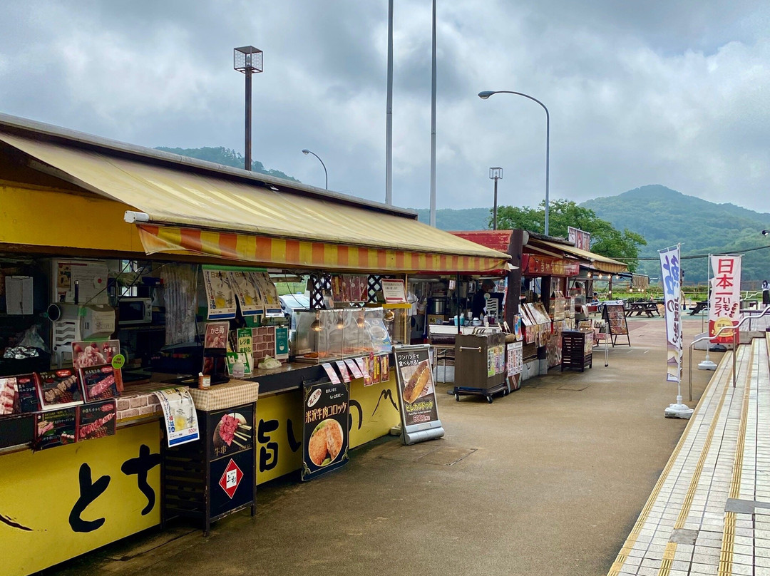 Sano Service Area Outbound-佐野市必去景点