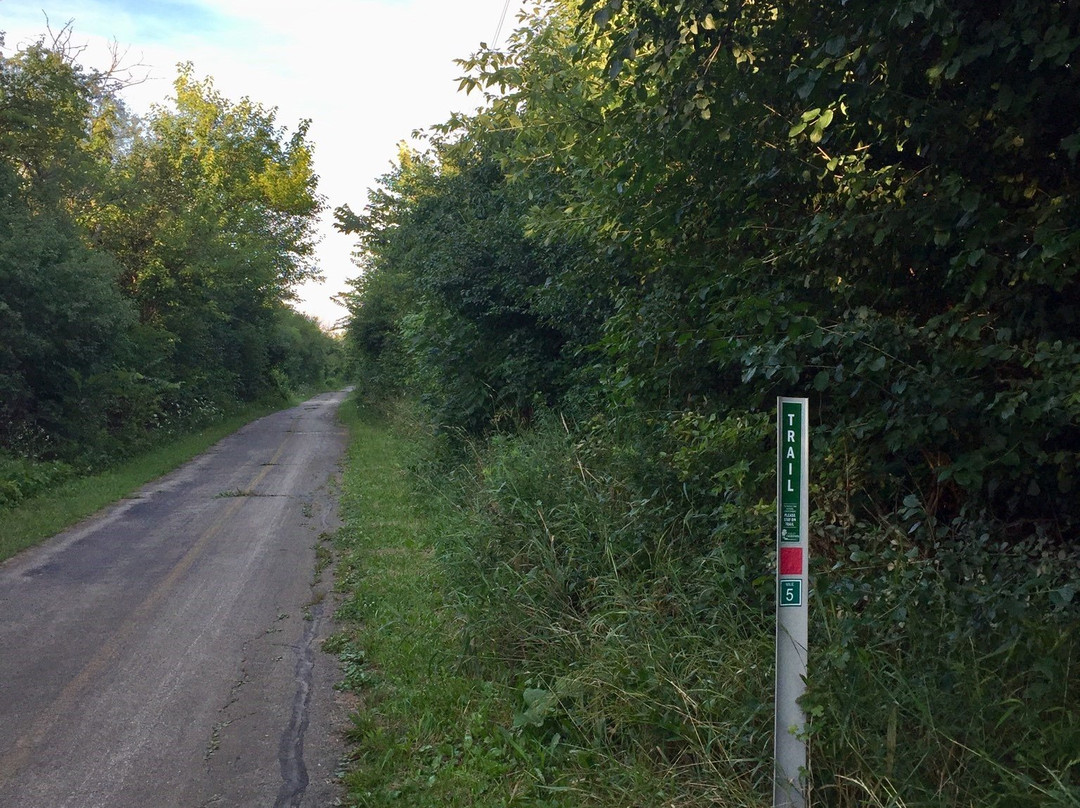 John Husar l&M Canal Trail-Willow Springs必去景点