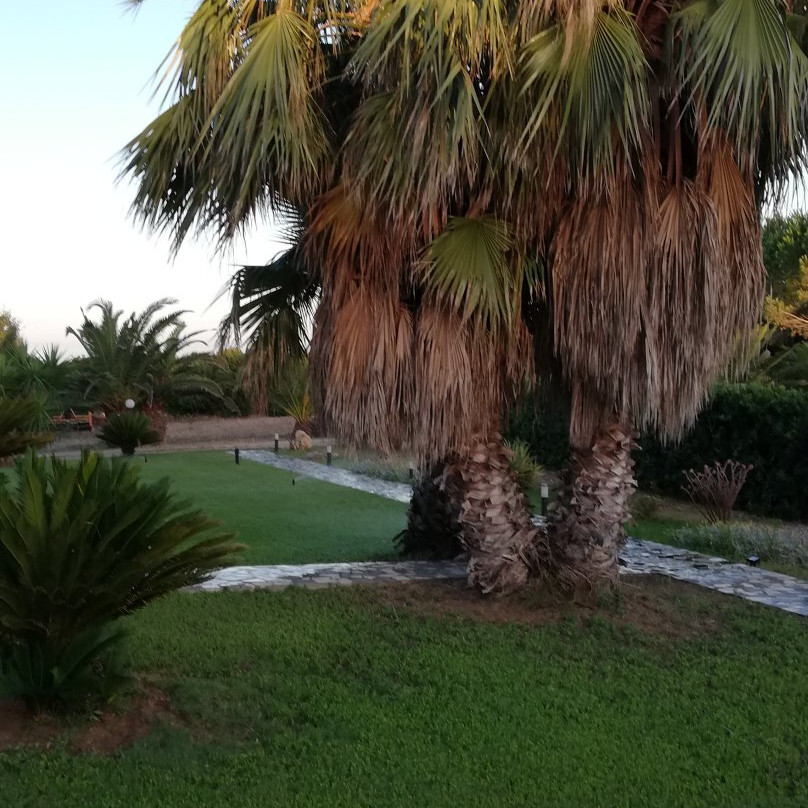 Agriturismo Saboriantigu主图