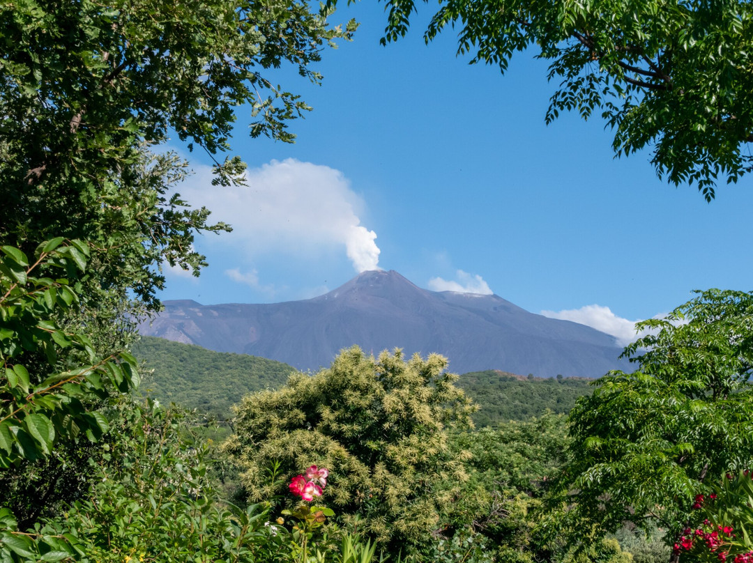 Alberto's Mt. Etna B&B主图