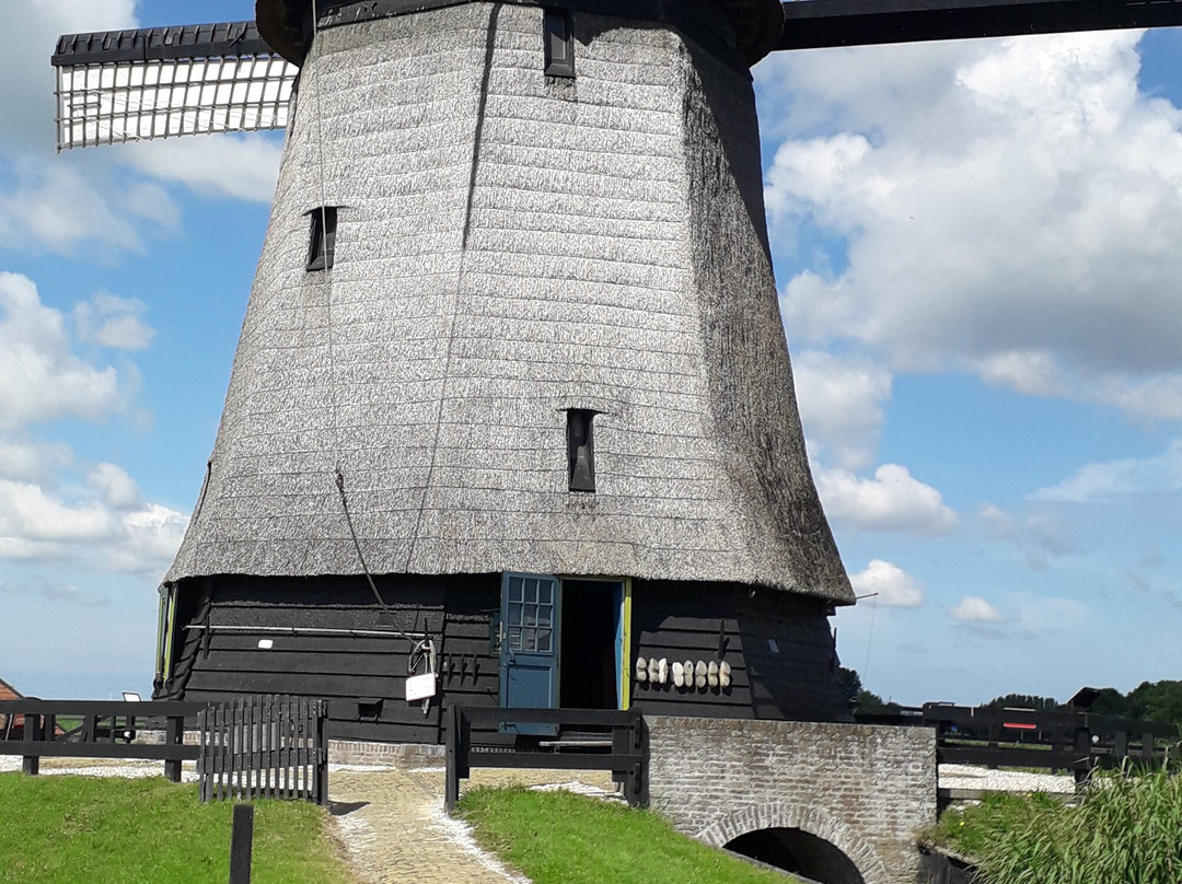 Guiarte Tours-阿姆斯特丹必去景点