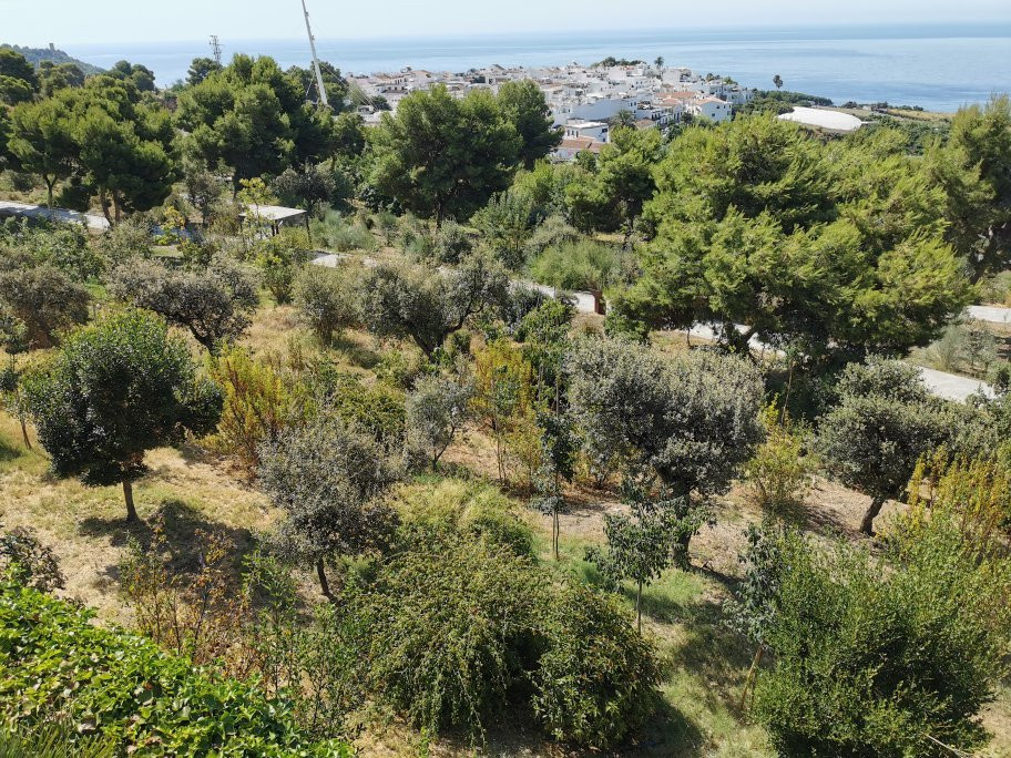 Jardin Botanico Detunda Cueva De Nerja景点图片