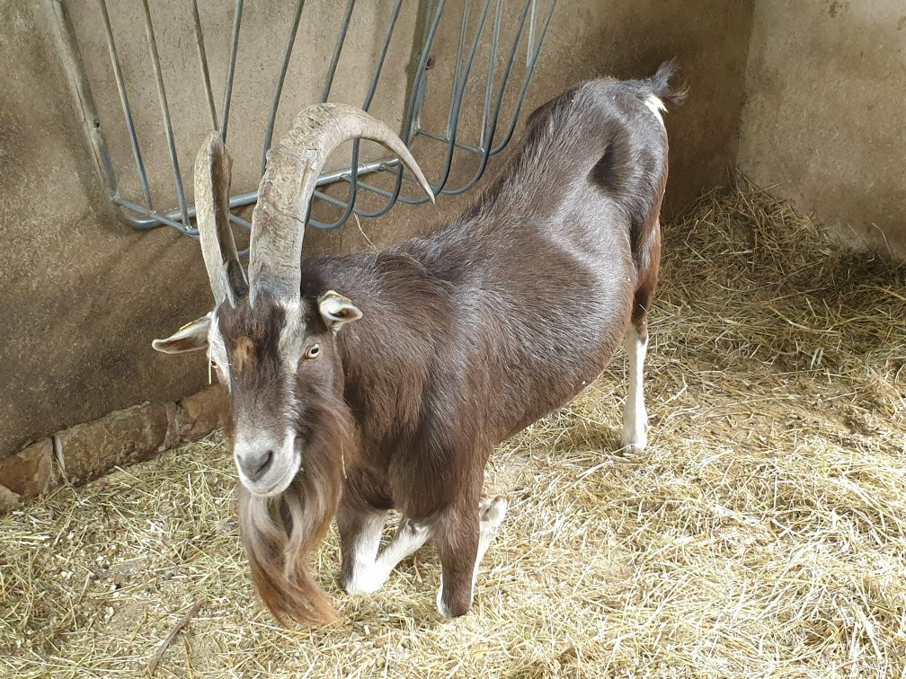 Tierpark Senftenberg-Senftenberg必去景点