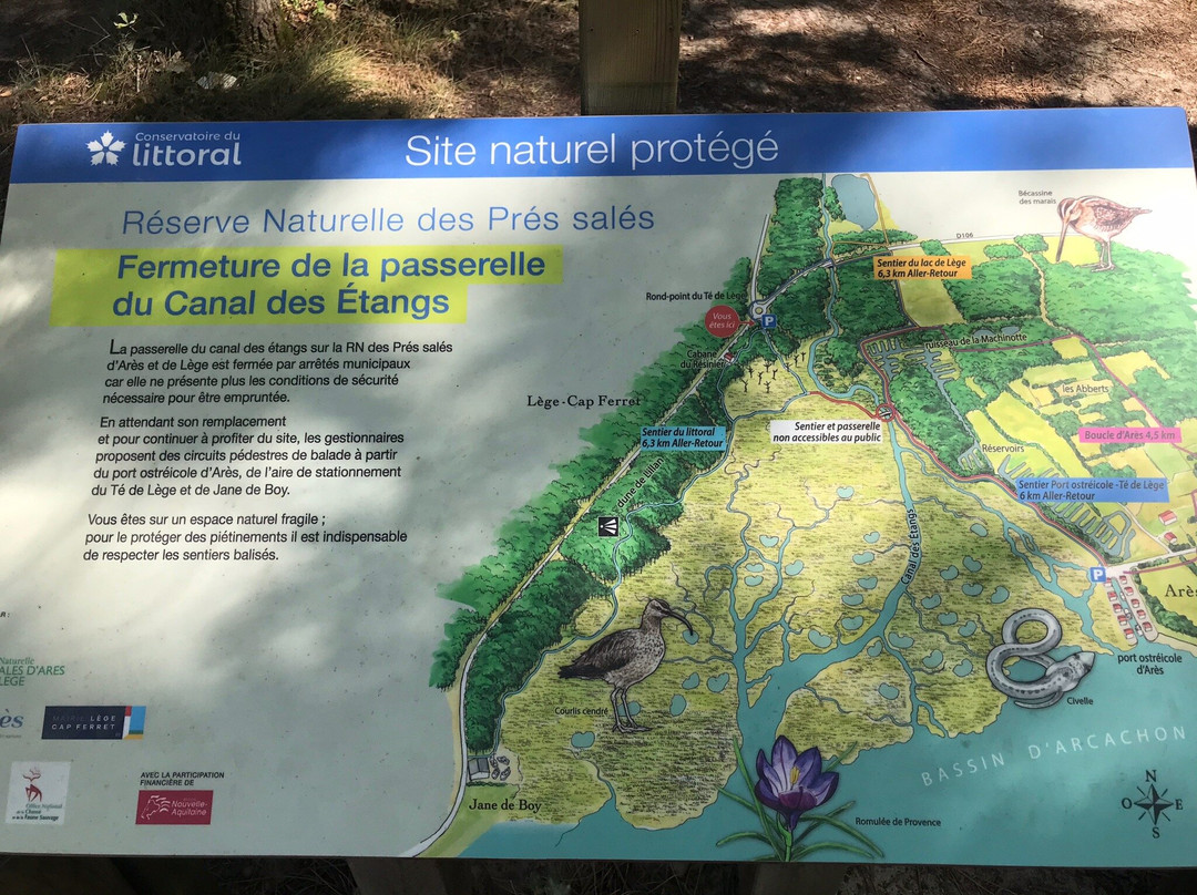 Reserve Naturelle des Pres Sales d'Ares et de Lege景点图片