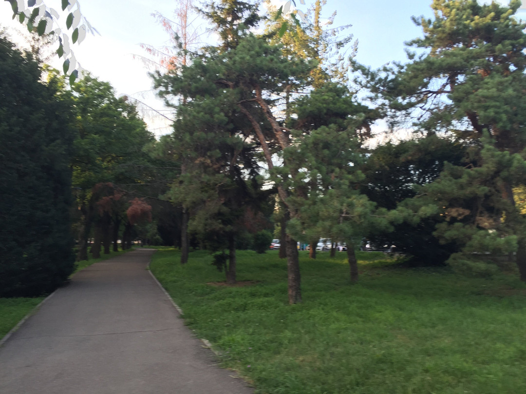 Cathedral Park景点图片