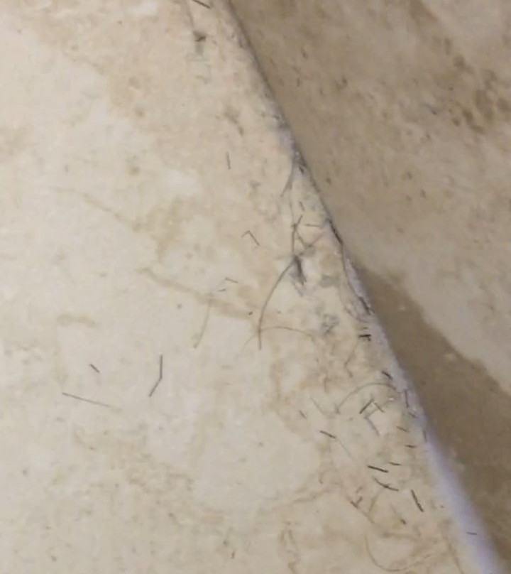 Hampton Inn & Suites by Hilton Lethbridge主图